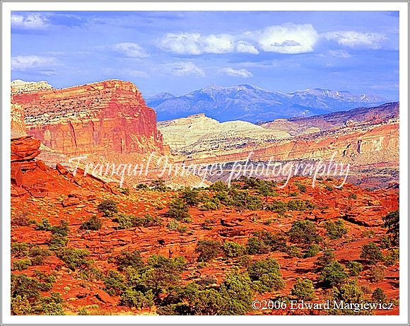 450144   Capital Reef Nation Park with the Henry Mountains in the distance 